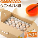【ふるさと納税】大分うこっけい卵（生食用30個） | 烏骨鶏