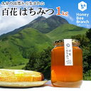 【ふるさと納税】由布市産 「おおいた百花はちみつ」1kg(1kg入瓶) | 大分県 由布市 大分 九州 返礼品 蜂蜜 百花はちみつ 百花蜂蜜 国産はちみつ 国産...