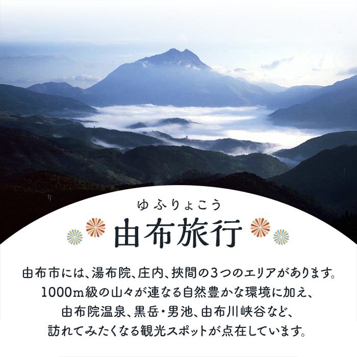 【ふるさと納税】【由布市（湯布院、由布院、湯平、塚原高原）】ふるさと納税宿泊補助券15,000円分 | 温泉 観光 旅行 ホテル 旅館 クーポン チケット 予約 大分県 由布市 大分 九州 返礼品 支援 納税 宿泊券 旅行券 宿泊 トラベルクーポン