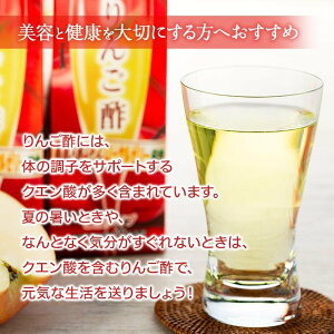 【ふるさと納税】濃縮りんご酢 1000ml×2本（常温保存可能品） | お酢 ドリンク 林檎 健康 美容 濃縮 水割り ソーダ割り 1L 紙パック 飲料 湯布院 由布院 由布市 大分県 お取り寄せ 送料無料 楽天ふるさと