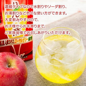 【ふるさと納税】濃縮りんご酢 1000ml×2本（常温保存可能品） | お酢 ドリンク 林檎 健康 美容 濃縮 水割り ソーダ割り 1L 紙パック 飲料 湯布院 由布院 由布市 大分県 お取り寄せ 送料無料 楽天ふるさと