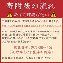 【ふるさと納税】【湯布院】人力車でゆったりゆふいん巡り 30分コース／2名様 | 楽天ふるさと 体験 ペア チケット ペアチケット 旅行 観光 湯布院 由布院 大分県 大分 由布市 2