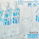 【ふるさと納税】【定期便12か月】【日本名水百選】くじゅう連山の湧水 500ml×24本（1ケース） | ペットボトル 飲料水 ソフトドリンク 水 備蓄用 九州乳業 湯布院 由布院 由布市 大分県 大分 九州 お取り寄せ 送料無料 楽天ふるさと お楽しみ