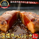 【ふるさと納税】【湯布院】豊後牛ハンバーグ 90g×12個 計1kg以上 | 牛肉 肉 大分県 由布市 ゆふいん 冷凍 惣菜 お弁当 おかず 簡単 グルメ おつ...