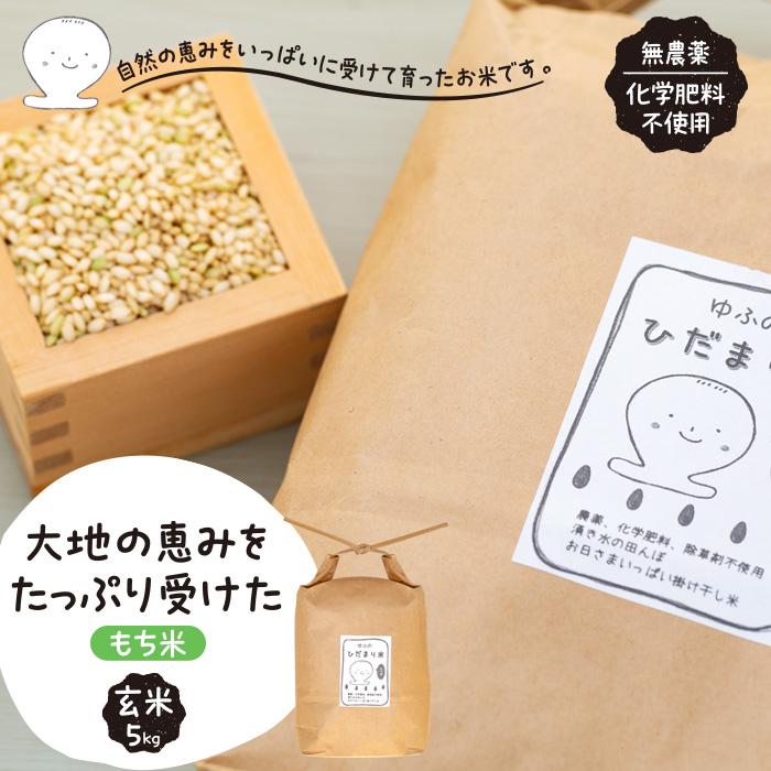 54位! 口コミ数「0件」評価「0」【無農薬・化学肥料不使用】大地の恵みをたっぷり受けた もち米（玄米）5kg | 数量限定 健康志向 5kg 赤飯 おこわ ハクトモチ 拘り米･･･ 