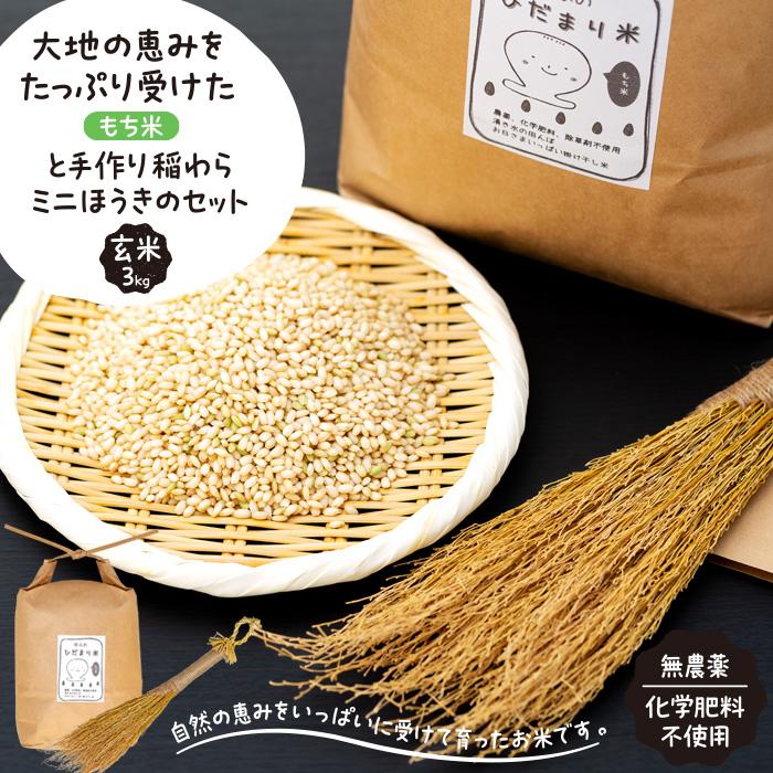 【ふるさと納税】【無農薬・化学肥料不使用】大地の恵みをたっぷり受けた もち米（玄米）3kgと手作り 稲わらミニほうきのセット | 数量限定 健康志向 3kg 赤飯 おこわ ハクトモチ 拘り米 お米 農家直送 農家レストラン 湯布院 由布院 由布市 大分県 大分 九州