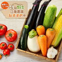 【ふるさと納税】江藤農園おすすめ 湯布院の旬の野菜(12〜15種類!)詰め合わせ | 新鮮野菜 自慢の野菜 12種以上 旬野菜 セット 詰め合わせ 九州 大分県...