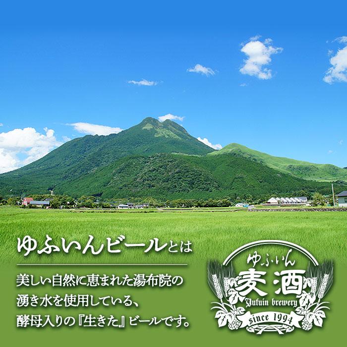 【ふるさと納税】ゆふいん ビール 500ml 3本 ( 3種 × 各1本 ) 飲み比べ セット | ビール 地ビール クラフトビール 酒 お酒 アルコール 瓶 ご当地 お土産 ヴァイツェン エール ギフト お取り寄せ 人気 おすすめ 詰め合わせ 飲みくらべ 湯布院 由布院 2