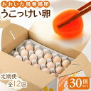 【ふるさと納税】【定期便 全12回】大分うこっけい卵(生食用30個×12回) | 高級 烏骨鶏 卵 たまご 玉子 生卵 ご当地グルメ 取り寄せ お取り寄せ グル...