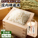 【ふるさと納税】【定期便 全6回】庄内神蔵米(精米)4kg(2kg×2袋)×6回 | 美味しいお米 白米 おいしい 米 こめ コメ お米 精米 おこめ 返礼品 ...