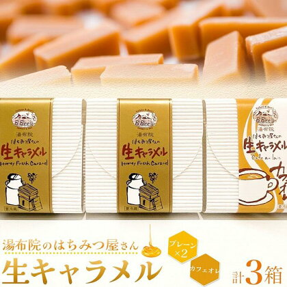 【湯布院のはちみつ屋さん】国産蜂蜜を使用した2種の生キャラメル（プレーン×2・カフェオレ）各12粒入り 計3箱 | 蜂蜜専門店 ハチミツ 洋菓子 キャラメル 食べ比べ 返礼品 お取り寄せグルメ 人気 送料無料 取り寄せ 湯布院 由布院 ゆふいん