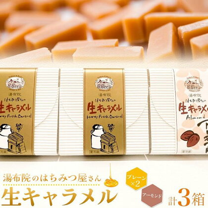 【湯布院のはちみつ屋さん】国産蜂蜜を使用した2種の生キャラメル（プレーン×2・アーモンド）各12粒入り 計3箱 | 蜂蜜専門店 ハチミツ 洋菓子 キャラメル 食べ比べ 返礼品 お取り寄せグルメ 人気 送料無料 取り寄せ 湯布院 由布院 ゆふいん