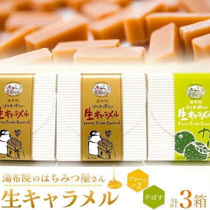 【湯布院のはちみつ屋さん】国産蜂蜜を使用した2種の生キャラメル（プレーン×2・かぼす）各12粒入り 計3箱 | 蜂蜜専門店 ハニーミルクジャム ハチミツ 百花蜂蜜 食べ比べ 返礼品 お取り寄せグルメ 人気 送料無料 取り寄せ 湯布院 由布院 ゆふいん