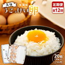 【ふるさと納税】【定期便 全12回】大分うこっけい卵 生食用20個(10個×2)×12回 | 高級 烏骨鶏 卵 たまご 玉子 生卵 ご当地グルメ 取り寄せ お取...