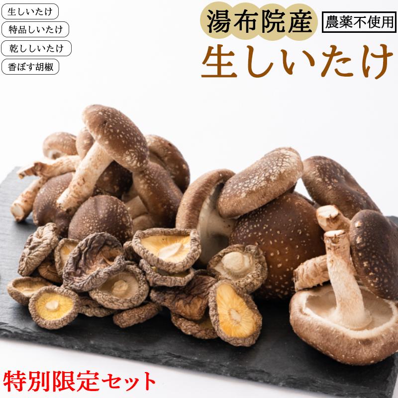 21位! 口コミ数「1件」評価「5」【特別限定セット】湯布院産 生しいたけ1kg+特品しいたけ3P+乾ししいたけ100g+香ぼす胡椒｜栽培期間農薬不使用 | 新鮮 シイタケ 椎･･･ 