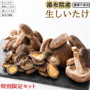 7位! 口コミ数「1件」評価「5」【特別限定セット】湯布院産 生しいたけ1kg+特品しいたけ3P+乾ししいたけ100g+香ぼす胡椒｜栽培期間農薬不使用 | 新鮮 シイタケ 椎･･･ 