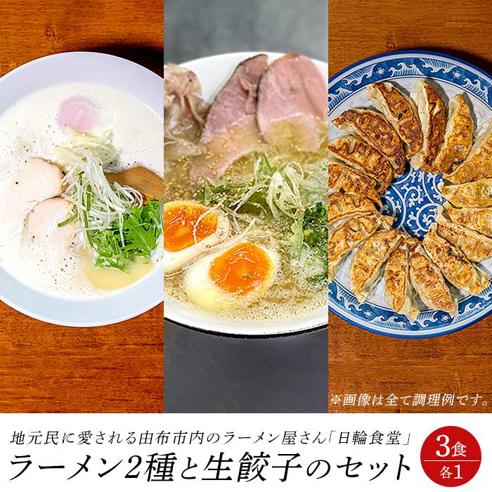 24位! 口コミ数「0件」評価「0」日輪食堂のラーメン2食（鶏白湯・醤油豚骨）と生餃子16個のセット | 麺 らーめん ぎょうざ 生麺 生めん 餃子 グルメ 人気 おすすめ ご･･･ 