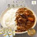 5位! 口コミ数「0件」評価「0」豊後牛【本格ビーフカレー】230g×8パック｜湯煎で簡単調理 | 温めるだけ 和牛カレー ビーフカレー 和牛 絶品カレー 時短料理 時短 ご･･･ 