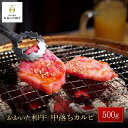 8位! 口コミ数「3件」評価「5」おおいた和牛 中落ちカルビ 500g | 国産牛 牛肉 カルビ グルメ お取り寄せ 取り寄せ 送料無料 由布院 湯布院 ゆふいん