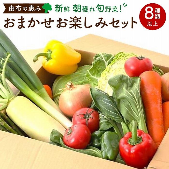 5位! 口コミ数「0件」評価「0」由布の恵み【新鮮 朝穫れ旬野菜！8種類以上！】おまかせお楽しみセット | 野菜 詰合せ 詰め合わせ 新鮮 湯布院 由布院 ゆふいん 大分県 ･･･ 