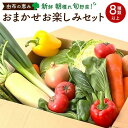 【ふるさと納税】由布の恵み【新鮮 朝穫れ旬野菜!8種類以上!】おまかせお楽しみセット | 野菜 詰合せ 詰め合わせ 新鮮 湯布院 由布院 ゆふいん 大分県 由布...