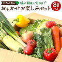 13位! 口コミ数「0件」評価「0」由布の恵み【新鮮 朝穫れ旬野菜！8種類以上！】おまかせお楽しみセット | 野菜 詰合せ 詰め合わせ 新鮮 湯布院 由布院 ゆふいん 大分県 ･･･ 