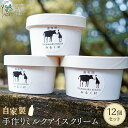 【ふるさと納税】自家製 手作り ミルクアイスクリーム 12個 セット【みるく村 レ・ビラージュ】Lait Village 塚原高原 | アイス ミルク Lait...