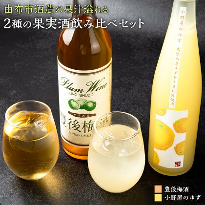 【小野酒造】果実酒 2種 計2本 飲み比べセット（豊後梅酒720ml・小野屋のゆず500ml） | 大分県 由布市 大分 返礼品 支援 楽天ふるさと 飲み比べ 飲み比べセット お取り寄せ アルコール 果実酒 詰め合わせ セット ゆず 梅 梅酒 柑橘 ゆず酒 湯布院 由布院