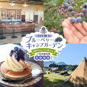 【ふるさと納税】【湯布院 熊谷牧場・雛戸】施設内なんでも使える!ブルーベリー・キャンプガーデン ご利用補助券 3,000円分 | チケット 利用券 キャンプ カ...