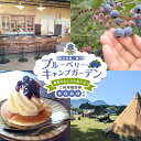 【ふるさと納税】【湯布院 熊谷牧場・雛戸】施設内なんでも使える!ブルーベリー・キャンプガーデン ご利用補助券 9,000円分 | チケット 利用券 キャンプ カ...
