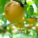 【ふるさと納税】【約3kg】庄内梨の藤原 お楽しみセレクト 樹上完熟☆農家直送 大分由布市特産品 8月上旬から発送<庄内梨の藤原> | 期間限定 数量限定 季節限定 果物 フルーツ 梨 幸水 豊水 あきづき 新高 豊里 完熟 3kg 送料無料 湯布院 由布院 ゆふいん