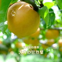 【ふるさと納税】【約5kg】庄内梨の藤原 お楽しみセレクト 樹上完熟☆農家直送 大分由布市特産品 8月上旬から発送<庄内梨の藤原> | 期間限定 数量限定 季節限定 果物 フルーツ 梨 幸水 豊水 あきづき 新高 豊里 完熟 5kg 送料無料 湯布院 由布院 ゆふいん