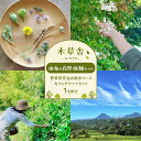 【ふるさと納税】【由布の自然体験セット】野草研究会お散歩コース・カフェチケットセット 1名様分【木草舎ーもくそうやー】 | 観光 探索 体験チケット 散歩 自然...