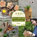 【ふるさと納税】季節の木工雑貨作り体験+カフェチケットセット 1名様分【木草舎ーもくそうやー】 | 体験チケット 木工雑貨 手作り 旅行 観光 旅 トラベル チ...