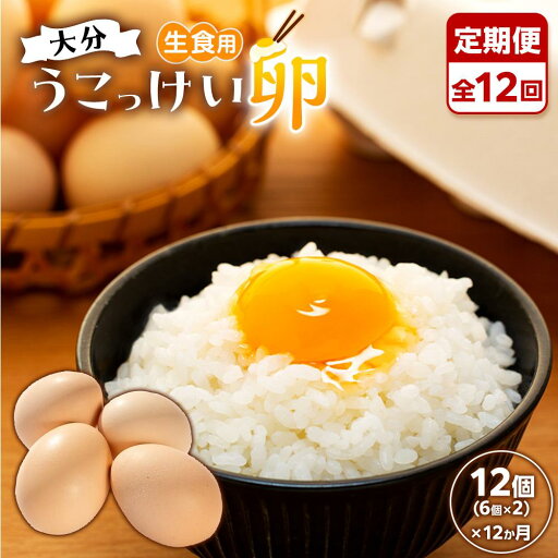 【ふるさと納税】【定期便 全12回】大分うこっけい卵 生食用12個(6個×2パック)<お試しサイズ/使い切りにぴったり!> | お試し 烏骨鶏 卵 たまご 玉子 生卵 高級 納税 支援品 返礼品 お礼の品 特産 名産品 ご当地 ご当地グルメ お取り寄せ グルメ 【ふるさと納税】【定期便 全12回】大分うこっけい卵 生食用12個(6個×2パック)<お試しサイズ/使い切りにぴったり!> | お試し 烏骨鶏 卵 たまご 玉子 生卵 高級 納税 支援品 返礼品 お礼の品 特産 名産品 ご当地 ご当地グルメ お取り寄せ グルメ