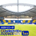 【ふるさと納税】大分トリニータ 選手とピッチレベルでハイタッチ!【松本怜CROプロデュース】 | スポーツ サッカー 大分トリニータ Jリーグ イベント チケッ...