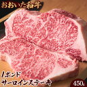 【ふるさと納税】おおいた和牛 1ポンド サーロインステーキ 450g | 国産和牛 おおいた和牛 大分県 ご当地 ご当地グルメ お取り寄せ 冷凍 カルビ 和牛...
