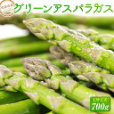 【ふるさと納税】【2025年発送/先行予約】由布市産 グリーンアスパラガス Lサイズ 700g | アスパラガス アスパラ 新鮮野菜 旬野菜 春野菜 夏野菜 詰め合わせ 九州 大分県 湯布院 由布院 ゆふいん