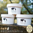 【ふるさと納税】【選べる個数】自家製 手作り ミルクアイスクリーム 6個又は12個 セット【みるく村 レ・ビラージュ】塚原高原 | アイス ミルク Lait Village 塚原高原 牛乳 ミルクアイス グルメ お取り寄せ 取り寄せ 送料無料 由布院 湯布院 ゆふいん スイーツ お菓子