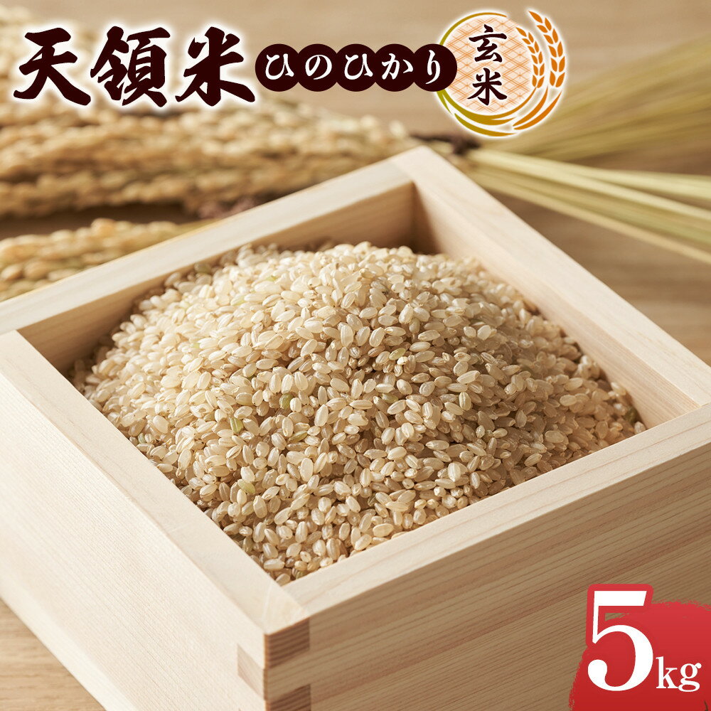 天領米(ひのひかり:玄米) 5kg | お取り寄せグルメ 取り寄せ グルメ 米 こめ コメ お米 ひのひかり 玄米 5キロ おこめ 美味しい米 湯布院 由布院 ゆふいん