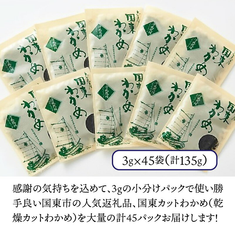 【ふるさと納税】カット わかめ 45パック 135g 3g×45p 小分け 乾燥 便利 人気 味噌汁 酢の物 サラダ スープ おにぎり 天然 国産 冷風乾燥わかめ 大分 国東 九州 海藻 シャキシャキ お取り寄せ 食品 海の幸 送料無料 3