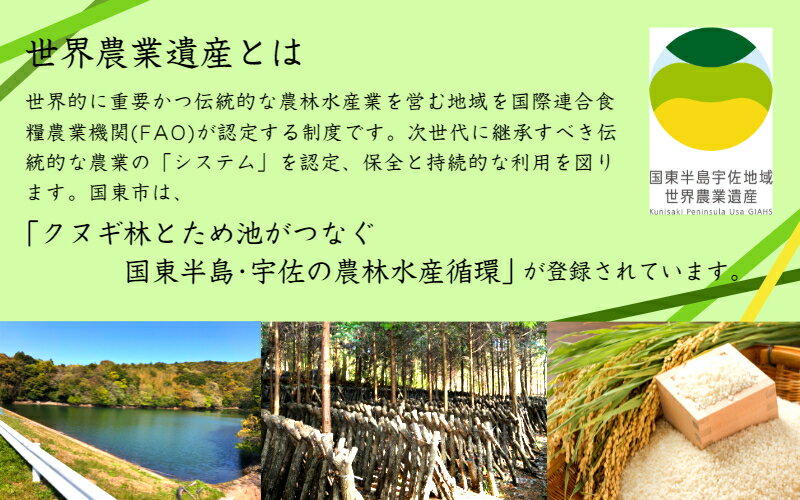 【ふるさと納税】乾し椎茸 どんこ180g（国東半島宇佐地域世界農業遺産ブランド認証品）