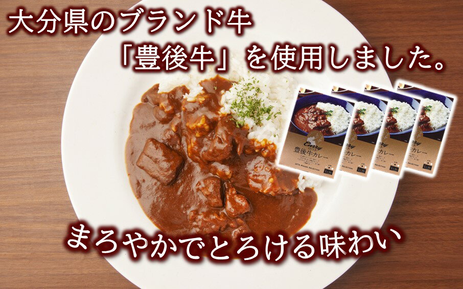 【ふるさと納税】おおいた豊後牛カレー4箱セット
