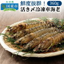 【ふるさと納税】鮮度抜群!活き〆冷凍車海老(360g)・通