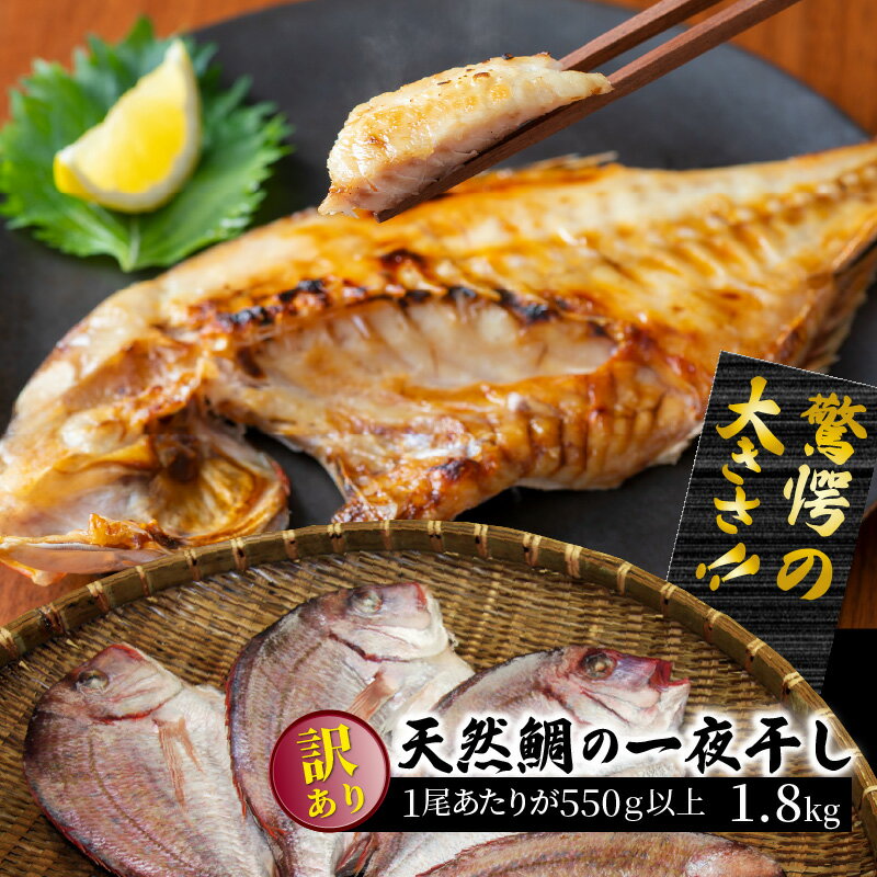 【ふるさと納税】驚愕の大きさ!訳あり天然鯛の一夜干し1.8kg