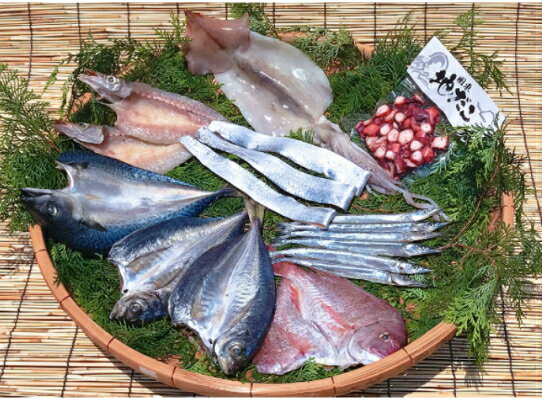 【ふるさと納税】磯武の国東海鮮三昧Aセット・通 【ふるさと納税】磯武の国東海鮮三昧Aセット・通