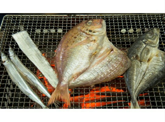 【ふるさと納税】磯武の国東海鮮三昧Aセット・通 【ふるさと納税】磯武の国東海鮮三昧Aセット・通