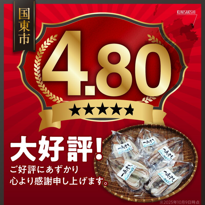 【ふるさと納税】訳あり 肉厚するめ烏賊一夜干し 1kg以上 3～6尾 サイズ不揃い 味は絶品 酸化防止剤 着色料 不使用 肉厚 甘みの強い 素材の美味しさ 甘塩 国産 イカ 海鮮 干物 おつまみ おかず ゲソ 耳 コリコリ食感 炙り お取り寄せ グルメ 大分県 国東市 送料無料