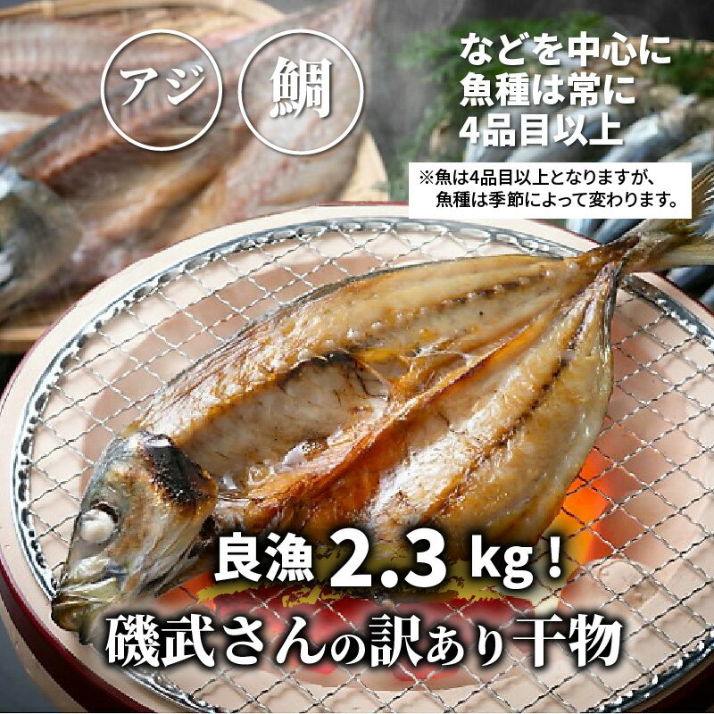 【ふるさと納税】訳あり 干物 2.3kg 4品目以上 詰め合わせ セット 磯武さんの訳あり干物 アジ 鯛 カマス ウルメイワシ いか おまかせ お取り寄せ グルメ おかず おつまみ 味は一級品 送料無料