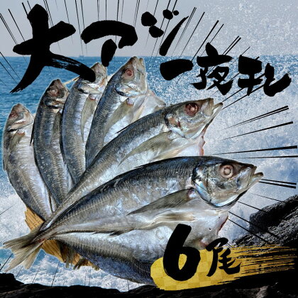 大アジ 一夜干し 6尾 2.2kg 1尾350g以上 尺アジ あじ 鯵 干物 一夜干し 焼き魚 おつまみ ご飯のお供 送料無料